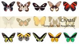  Presentation with bright colorful candy isolated - Slide set with red butterfly - set of beautiful and colorful background and a blonde colored foreground