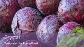  Presentation with cabbage - Cool new presentation design with red-cabbage-close-up backdrop and a violet colored foreground