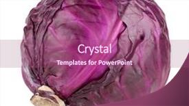  Presentation with red and white festive - Cool new presentation with red cabbage isolated on white backdrop and a violet colored foreground