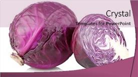  Presentation with cabbage - Audience pleasing PPT layouts consisting of red cabbage isolated on white backdrop and a coral colored foreground