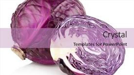  Presentation with cabbage - Audience pleasing theme consisting of red cabbage isolated on white backdrop and a coral colored foreground
