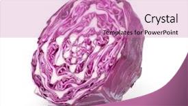  Presentation with red and white - Theme having red cabbage isolated on white background and a  colored foreground
