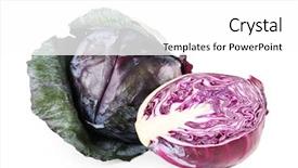  Presentation with cabbage - PPT layouts enhanced with red cabbage isolated on white background and a  colored foreground