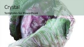  Presentation with cabbage - Audience pleasing slides consisting of red cabbage isolated on white backdrop and a  colored foreground