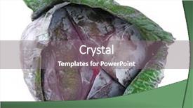  Presentation with cabbage - Audience pleasing presentation consisting of red cabbage isolated on white backdrop and a  colored foreground