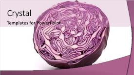  Presentation with meeting red white blue - PPT theme having red cabbage on a white background and a coral colored foreground