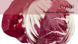  Presentation with bible red rose - Amazing PPT theme having red cabbage radicchio rosso head backdrop and a red colored foreground