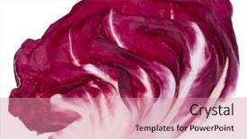  Presentation with cabbage - Amazing PPT theme having language - large group of business people backdrop and a ocean colored foreground