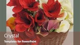  Presentation with calla - Theme consisting of red-calla-lilies background and a tawny brown colored foreground