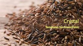  Presentation with rice - Audience pleasing presentation theme consisting of red camargue and wild rice backdrop and a tawny brown colored foreground