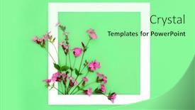  Presentation with abstract red - Presentation theme consisting of red-campion-wildflower-abstract-design background and a mint green colored foreground