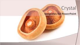  Presentation with mushrooms - Amazing PPT theme having red-cap-mushrooms-isolated backdrop and a coral colored foreground