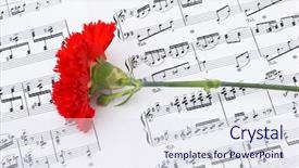  Presentation with page - Presentation theme having red carnation flower on musical notes page background and a sky blue colored foreground