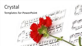  Presentation with page - PPT theme having red carnation flower on musical notes page background and a white colored foreground