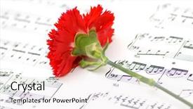  Presentation with page - Amazing presentation design having red carnation flower on musical notes page backdrop and a white colored foreground
