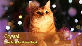  Presentation with christmas red - Cool new theme with red cat at home backdrop and a red colored foreground