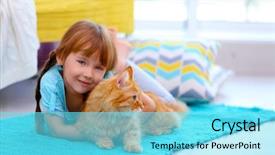  Presentation with red carpet - Presentation theme having red cat on carpet background and a  colored foreground