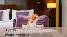  Presentation with food red - Audience pleasing theme consisting of red-cat-with-bib-waiting backdrop and a coral colored foreground