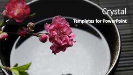  Presentation with cherry blossom - Beautiful presentation theme featuring red-cherry-blossom-in-bowl backdrop and a dark gray colored foreground