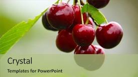  Presentation with cherry - Beautiful PPT theme featuring red cherry ready to pick backdrop and a mint green colored foreground