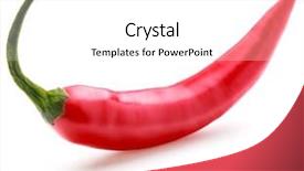  Presentation with red chilly - Audience pleasing slides consisting of red chili or chilli cayenne backdrop and a white colored foreground