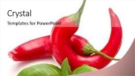  Presentation with chili - Audience pleasing PPT theme consisting of red-chili-or-chilli-cayenne backdrop and a white colored foreground