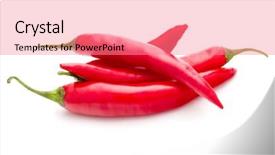  Presentation with chili - Cool new PPT theme with red chili or chilli cayenne backdrop and a coral colored foreground