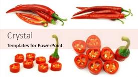  Presentation with capsicum - Theme featuring red-chili-peppers-capsicum background and a coral colored foreground