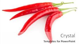  Presentation with peppers - Beautiful slide set featuring red chili peppers isolated on white background backdrop and a pink colored foreground