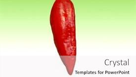  Presentation with red chilli - PPT theme consisting of red-chilli-pepper-isloated background and a sky blue colored foreground