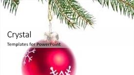  Presentation with spruce - Presentation theme featuring red christmas tree ball hanging from spruce isolated on white background background and a white colored foreground