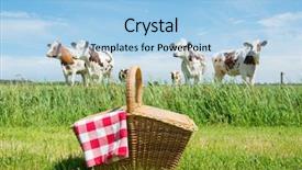  Presentation with livestock - Audience pleasing slide set consisting of red clouds - picnic basket in grass outdoor backdrop and a light blue colored foreground