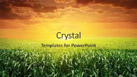  Presentation with grass - Beautiful PPT theme featuring red clouds - sunset and field with green backdrop and a yellow colored foreground