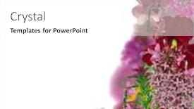  Presentation with flower corner - Slide set consisting of red color flower corner isolated on white background background and a white colored foreground