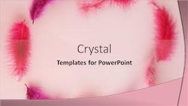  Presentation with frame pink - PPT theme consisting of red-colored-feathers-frame background and a lemonade colored foreground