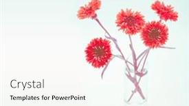  Presentation with flower vintage - Slides featuring red cornflower flower bouquet vintage retro style background and a white colored foreground