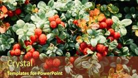  Presentation with berries - PPT theme with red-cowberries-berries-on-autumn background and a tawny brown colored foreground