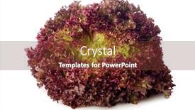  Presentation with salad - PPT theme enhanced with red curly salad background and a tawny brown colored foreground