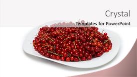  Presentation with currant - PPT theme featuring red-currant-berries-isolated background and a white colored foreground