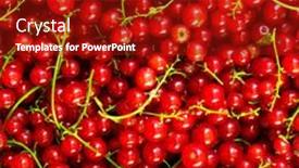  Presentation with currant - Colorful slides enhanced with red currant berries as a background backdrop and a crimson colored foreground