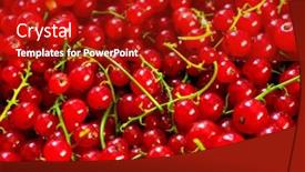  Presentation with currant - Presentation theme having red currant berries as a background background and a crimson colored foreground