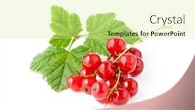  Presentation with currant - Colorful slide deck enhanced with red currant isolated on white background backdrop and a soft green colored foreground