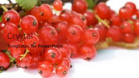  Presentation with currant - 