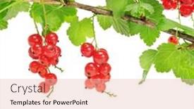  Presentation with currant - Presentation enhanced with red currant isolated on a white background background and a lemonade colored foreground