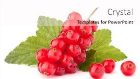  Presentation with green life - Presentation theme featuring red currants and green leaves still life isolated on white background cutout background and a pink colored foreground