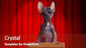  Presentation with stage curtains - PPT theme enhanced with red curtains and light background and a crimson colored foreground