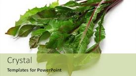  Presentation with italian - Slide set featuring red-dandelions-italiko-rosse-italian background and a yellow colored foreground