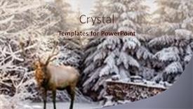  Presentation with antlers - PPT theme featuring red-deer-with-branched-antlers background and a soft green colored foreground