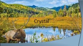  Presentation with rocky mountains - Beautiful PPT theme featuring red deer with branchy horns has a rest at the lake among a grass warm autumn day in park jasper the rocky mountains of canada backdrop and a gold colored foreground