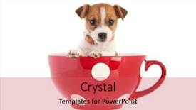  Presentation with aircraft six sigma - Colorful slide set enhanced with red dotted big coffee backdrop and a red colored foreground